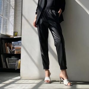 Aritzia Babaton vegan leather joggers size small